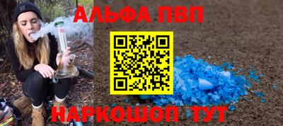 бошки Кингисепп