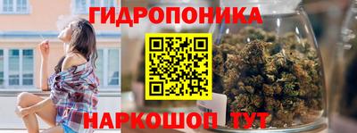 прущие грибы Комсомольск-на-Амуре