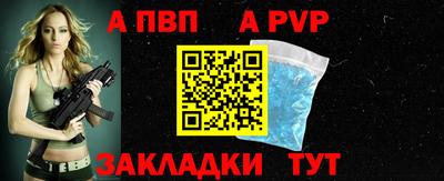 бошки Кингисепп