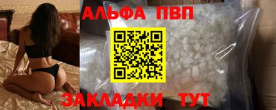 бошки Кингисепп