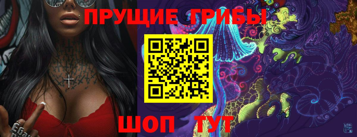 наркота  Вход с VPN  Королёв  Псилоцибиновые грибы прущие грибы 